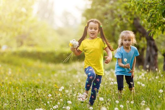 two little girls with dandelions little sister on the background of spring meadow