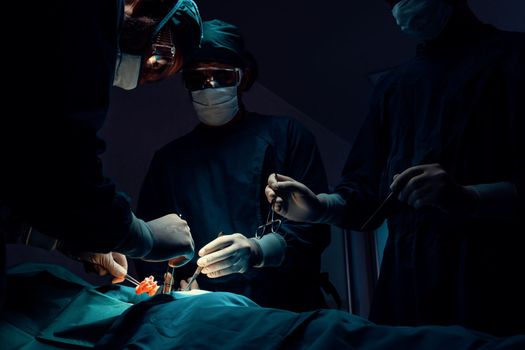 Surgical team performing surgery to patient in sterile operating room. In a surgery room lit by a lamp, a professional and confident surgical team provides medical care to an unconscious patient.