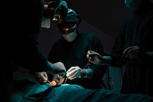 Surgical team performing surgery to patient in sterile operating room. In a surgery room lit by a lamp, a professional and confident surgical team provides medical care to an unconscious patient.