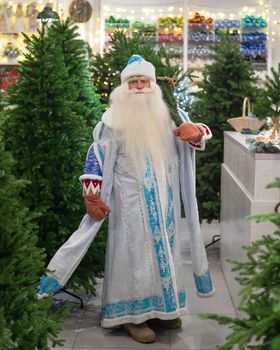 Portrait of a Russian Santa Claus in an artificial Christmas tree shop