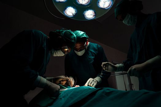 Surgical team performing surgery to patient in sterile operating room. In a surgery room lit by a lamp, a professional and confident surgical team provides medical care to an unconscious patient.