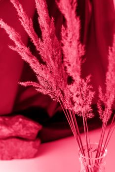 Pampas grass on a colored background. a fluffy twig. Background for advertising and presentation. Selective Focus Viva Magenta Background color