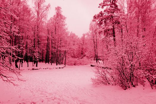 Winter landscape in colorful sunlight. Dramatic winter scene. The World of Beauty National Park. Retro style filter. Happy New Year. Viva Magenta Background color