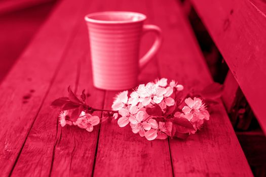 a cup of coffee on a dark, worn rustic wooden table. The composition is decorated with a twig with white flowers. Cherry tree flowers. Selective focus.Viva Magenta Background color