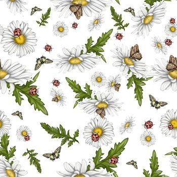 Seamless pattern for printing. Illustration of chamomile flowers. Bright beautiful flowers on a light background.