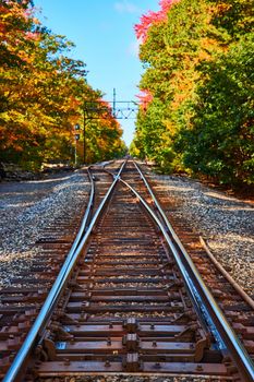 Image of On empty train tracks leading into forest during fall foliage