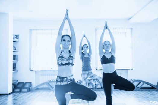 Yoga Class, Group of People Relaxing and Doing Yoga pose
