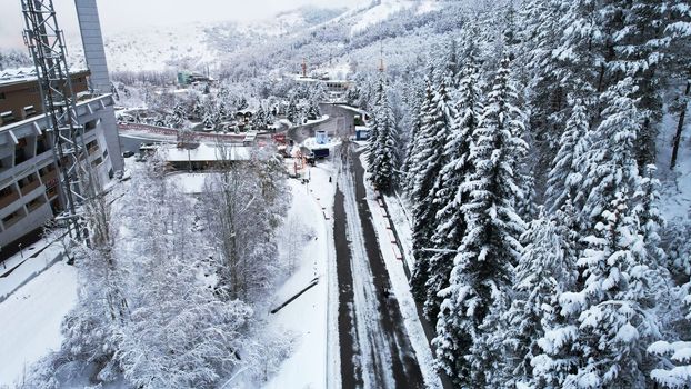 Snowy fairy-tale road in a mountain forest. Christmas or New Year has come. Coniferous trees in the snow. There is a green bus, people are walking. Light fog. The view from the drone. Medeo, Almaty