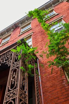 Image of Looking up brick building with green ferns growing around wire