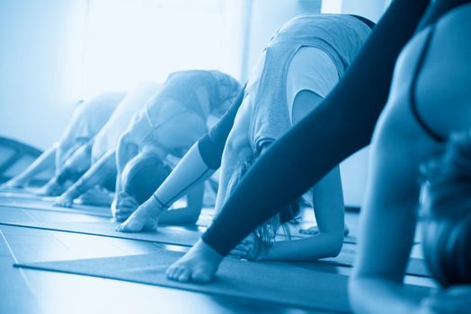 Yoga Class, Group of People Relaxing and Doing Yoga pose