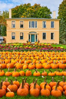 Image of Home with yard covered in flowers and variety of pumpkins for sale