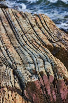 Image of Detail of petrified wood looking rocky coast in Maine with waves in background