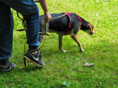 owner and dog in the park