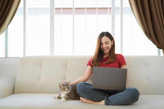 Happy asian woman using laptop on cozy sofa at home with cat.