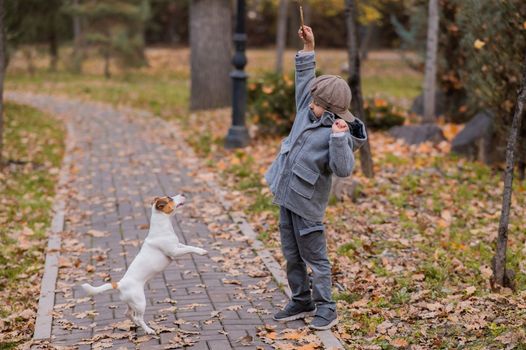 Caucasian boy playing with a dog for a walk in the autumn park