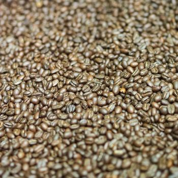 brown roasted coffee beans macro closeup