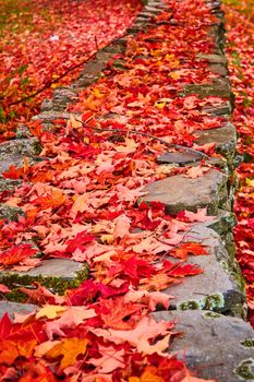 Image of Piles of colorful red fall leaves cover stone wall in detail
