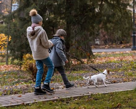 Brother and sister walk the dog in the park in autumn. Boy and girl running with jack russell terrier on a leash