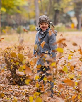 Caucasian boy in a gray coat and beret in the autumn forest. Autumn Walk