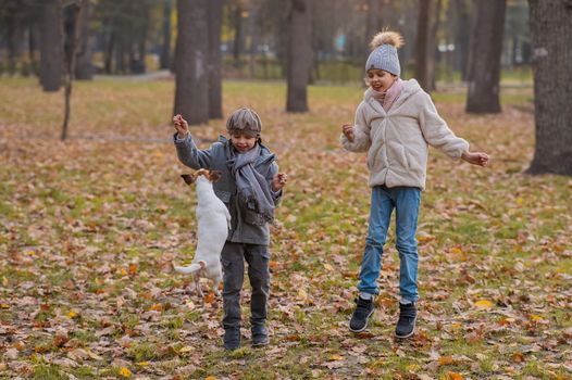 Caucasian children are walking with jack russell terrier in autumn park. Boy, girl and dog are jumping outdoors
