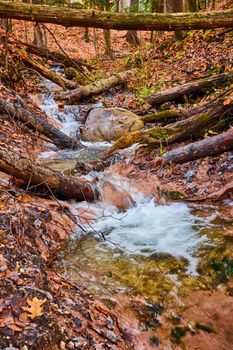 Image of Fallen logs around fall forest river creek through clay with clear waters in Michigan
