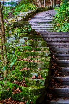 Image of Detail of endless stairs with mossy edge and fall leaves