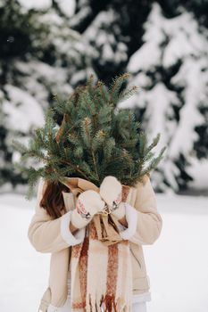 A girl in a winter forest with a bouquet of fir branches. Snowy winter.