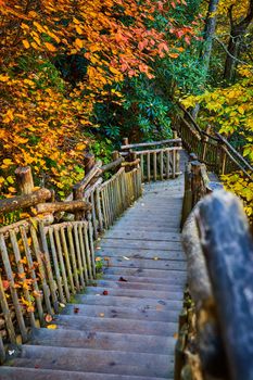 Image of Wood boardwalk stairs leading down through peak fall foliage forest