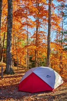 Image of Red and white MSR camping tent set up on campsite in orange leaf forest of late fall