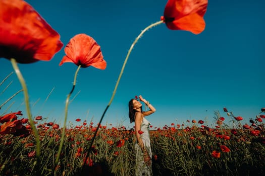 Portrait of a girl in a dress on a poppy field at sunset.