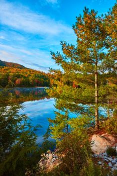 Image of Pine trees and rocks on edge of foggy lake in morning with fall foliage around