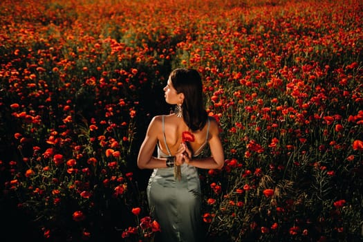 Portrait of a girl in a dress on a poppy field at sunset.