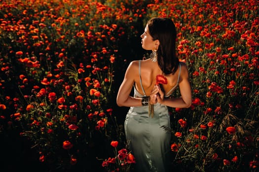 Portrait of a girl in a dress on a poppy field at sunset.