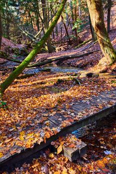 Image of Walking bridge in forest park goes over small creek and is completely covered in orange fall leaves