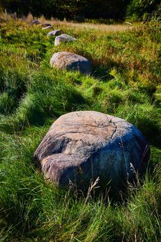 Image of Row of large rocks spaced apart with wavy grass around