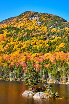 Image of Small island with lone pine tree on New Hampshire Lake surrounded by peak fall foliage mountains