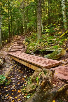 Image of Side view of hiking trail in fall forest with focus on wood plank bridge