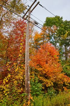 Image of Telephone pole for communication in peak fall surrounded by orange, yellow, red, and green leaves