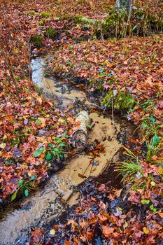 Image of Clay river creek winding through fall forest covered in colorful foliage