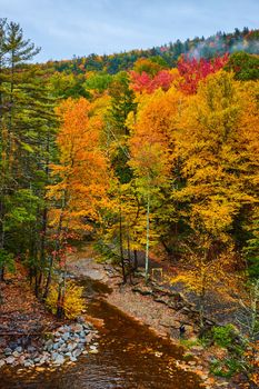 Image of Stunning colorful fall forest with river flowing through 