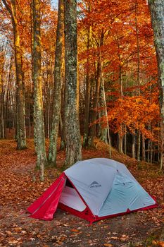 Image of MSR red and white camping tent set up in forest in late fall with orange leaves surrounding