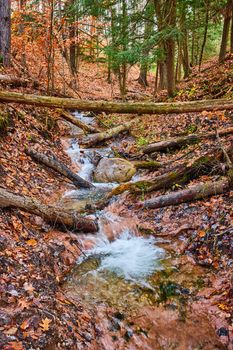 Image of Stunning fall forest river creek through clay with clear water and fallen logs