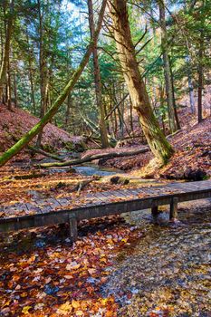 Image of Fall leaves cover forest ground and walking bridge over small creek in park