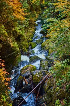 Image of River rages through narrow gorge of mossy boulders and fall leaves on ground