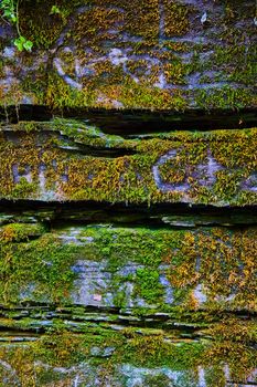 Image of Moss covers rocks in texture detail of wall