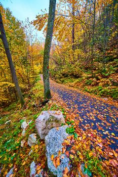 Image of Hiking path on trail covered in fall leaves going through forest