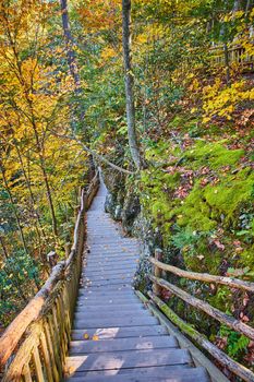 Image of Wood boardwalk stairs leading down along edge of mossy cliffs with fall foliage around