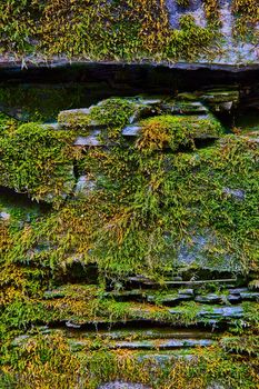 Image of Orange and green moss cover stone wall straight on texture detail