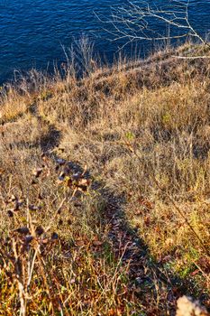 Image of Game trail down yellow grassy fall hill leading to riverbank