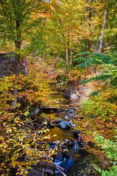 Image of Beautiful river through rocks from above surrounded by peak fall forests